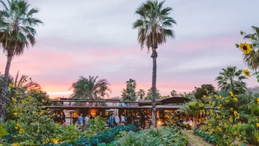 Los Cabos has achieved a culinary milestone with 13 restaurants featured in the first-ever MICHELIN Guide for Mexico, highlighting diverse offerings from fine dining to sustainable and affordable eateries.