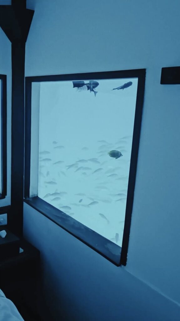 A man's stay in an underwater hotel room at Manta Resort, Tanzania, went viral, with social media users fascinated and horrified by the unique, "claustrophobic" experience.