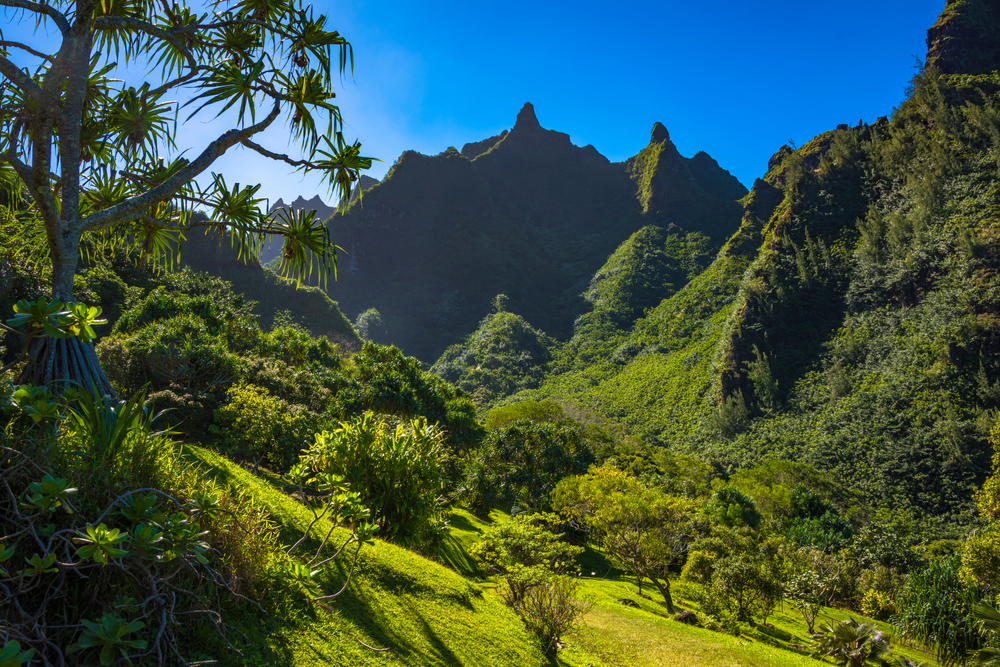 Discover the world's most beautiful gardens while staying at Hilton Garden Inn, offering perfect getaways with enchanting floral landscapes and charming accommodations.