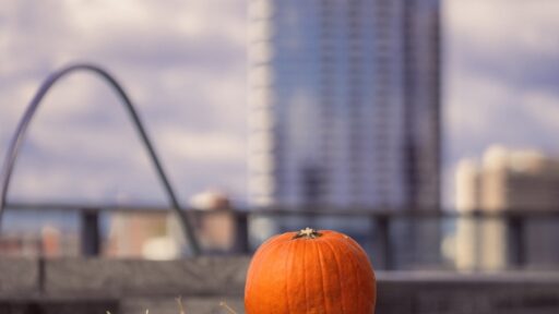 Enjoy autumn adventures at Four Seasons Hotel Baltimore with a rooftop pumpkin patch, luxurious spa treatments, and access to Maryland’s top-ranked public golf course, perfect for all ages.