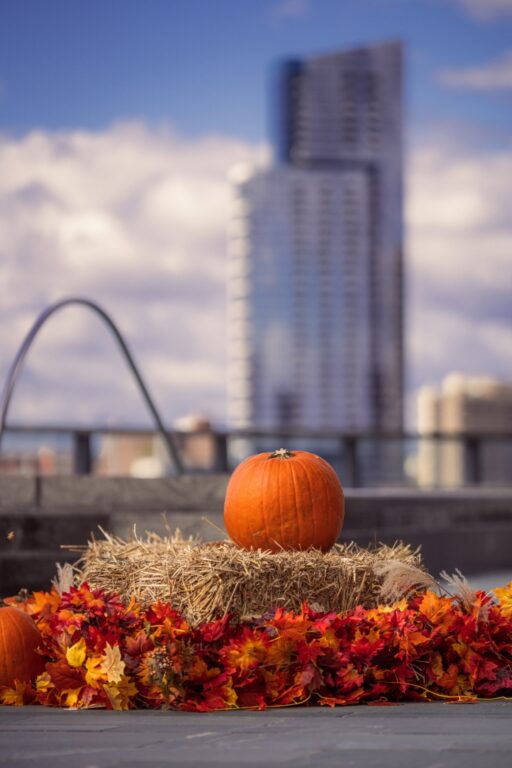 Enjoy autumn adventures at Four Seasons Hotel Baltimore with a rooftop pumpkin patch, luxurious spa treatments, and access to Maryland’s top-ranked public golf course, perfect for all ages.