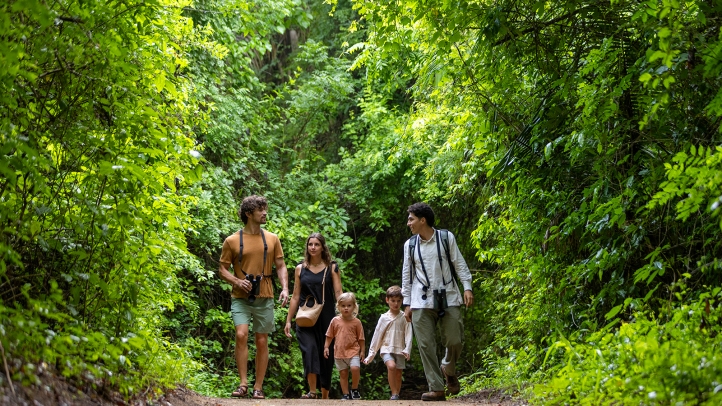 Escape to Four Seasons Resort Tamarindo, Mexico, this holiday season for a serene getaway featuring lush nature, authentic Mexican traditions, luxurious accommodations, and festive activities.