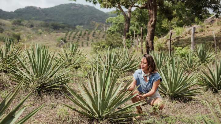 Naviva, A Four Seasons Resort in Punta Mita, invites guests to experience autumn's transformation with luxury tented bungalows, cultural experiences, and a special seasonal promotion.