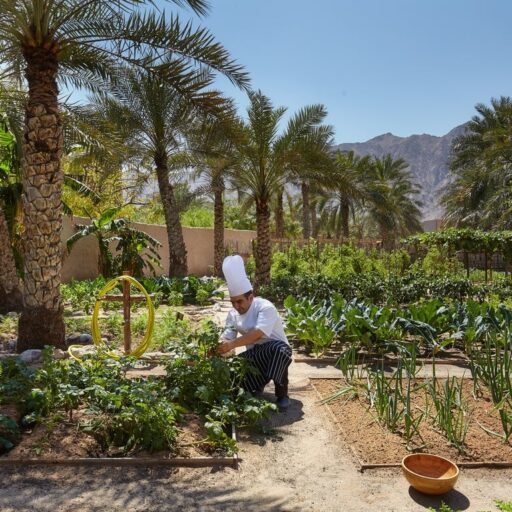 Six Senses chefs embrace zero-waste cooking, repurposing ingredients like pineapple crowns and mushrooms for creative dishes and décor, promoting sustainability and gut health.