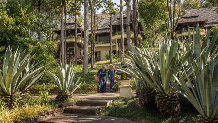 Four Seasons Resort Chiang Mai earns top honors in the 2024 Condé Nast Traveller UK Readers' Choice Awards for its luxurious setting, exceptional service, and curated guest experiences.