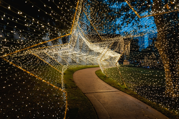 Experience winter magic at Four Seasons Hotel Austin as Ice Rodeo returns from November 22, 2024, to January 5, 2025, with ice skating, festive cabins, holiday décor, and seasonal treats.