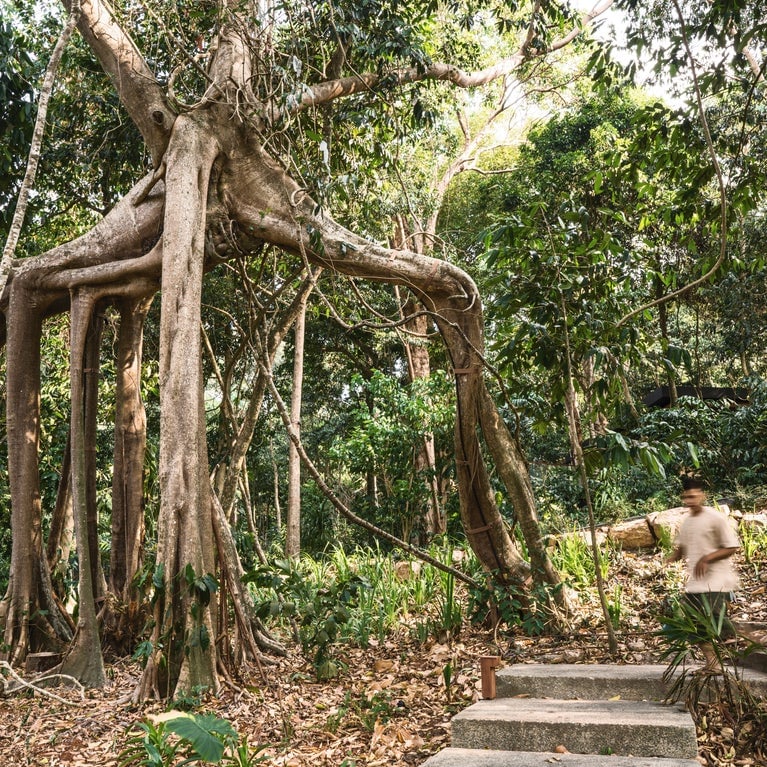 Discover the flow of nature and mindfulness at Six Senses Krabey Island, Cambodia, where eco-luxury villas, immersive wellness, and mindful practices create a transformative retreat.