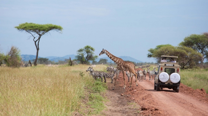 Join Tanzanian marathon runner Alphonce Simbu for guided runs through the Serengeti this festive season, blending adventure, wildlife, and luxury at Four Seasons Safari Lodge.