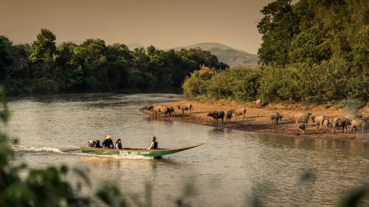 Escape to Four Seasons Tented Camp Golden Triangle for a transformative New Year, blending luxury, nature, and cultural immersion in the heart of northern Thailand's wilderness.