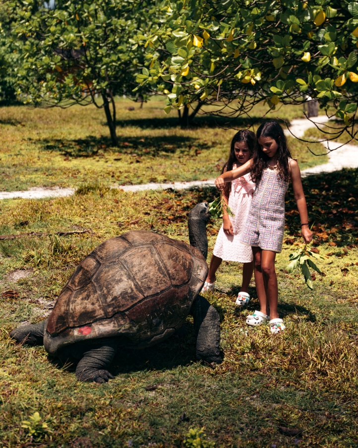 Immerse yourself in nature at Four Seasons Resort Seychelles on Desroches Island, where lush landscapes, vibrant marine life, and thrilling adventures await every guest.