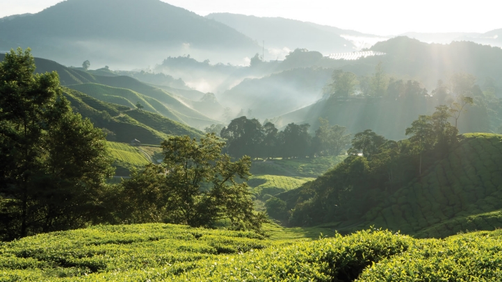 Four Seasons Tented Camp Golden Triangle celebrates 19 years with Lunar New Year festivities, blending luxury, nature, and cultural experiences in Thailand's serene wilderness.