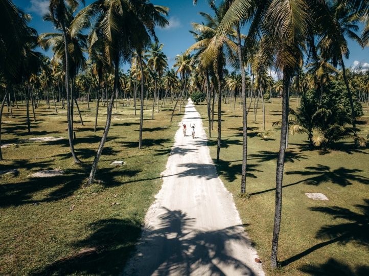 Escape to Four Seasons Resort Seychelles at Desroches Island for a secluded Valentine’s retreat with spa indulgence, intimate dining, and unique moments with baby tortoises.