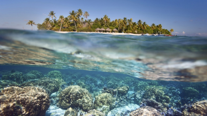 Four Seasons Resort The Nam Hai joins WiseOceans to promote marine conservation, offering eco-friendly guest experiences, coral restoration, and a new Marine Discovery Centre.