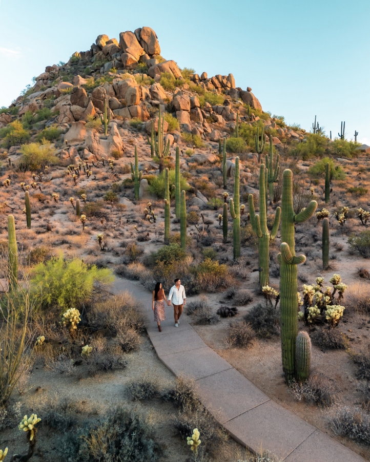 Celebrate the beauty of the Sonoran Desert at Four Seasons Resort Scottsdale with *Heart of the Desert*, featuring gourmet dining, craft cocktails, wellness, and art experiences.